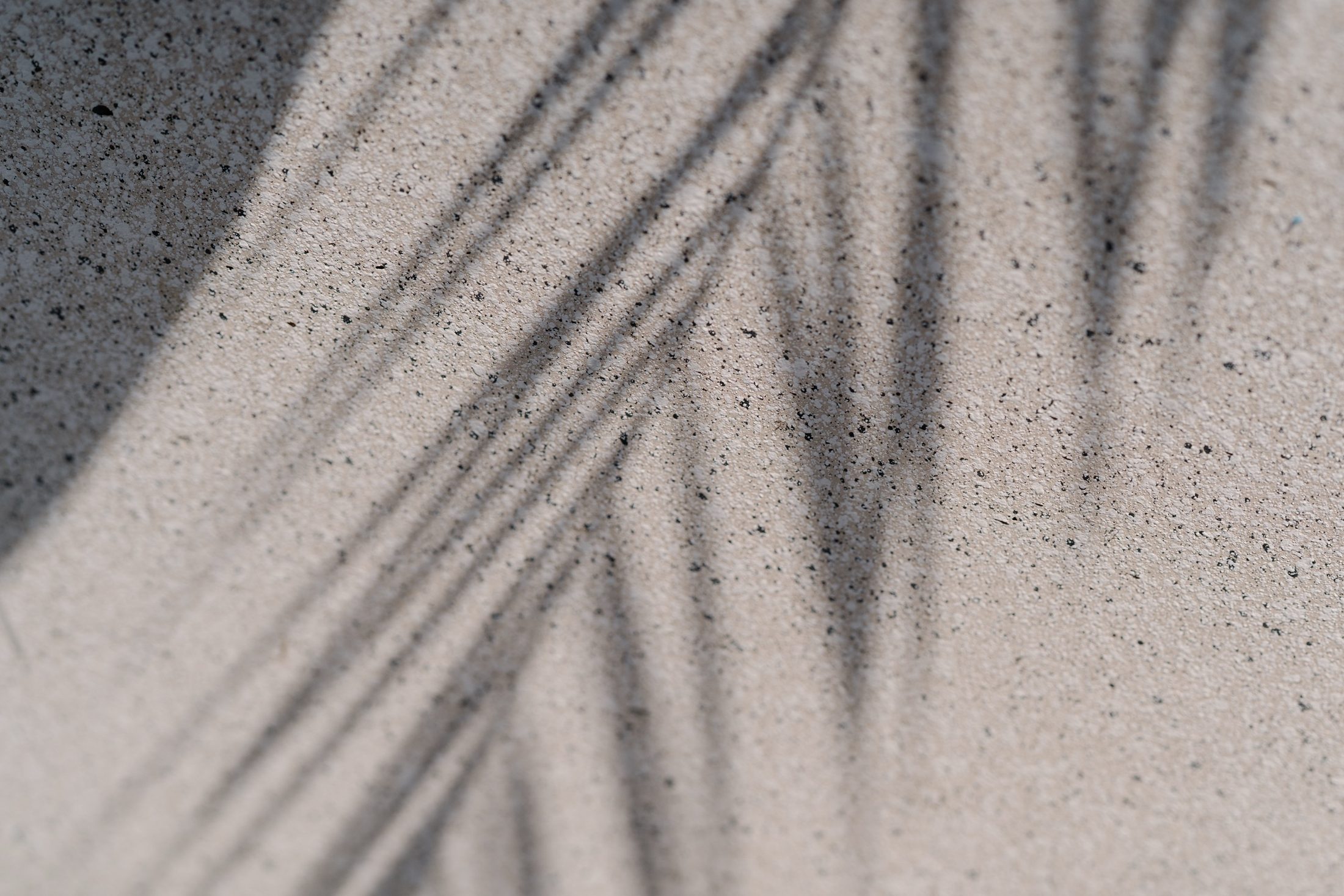 Sunlight and shadows on a sandy BC beach